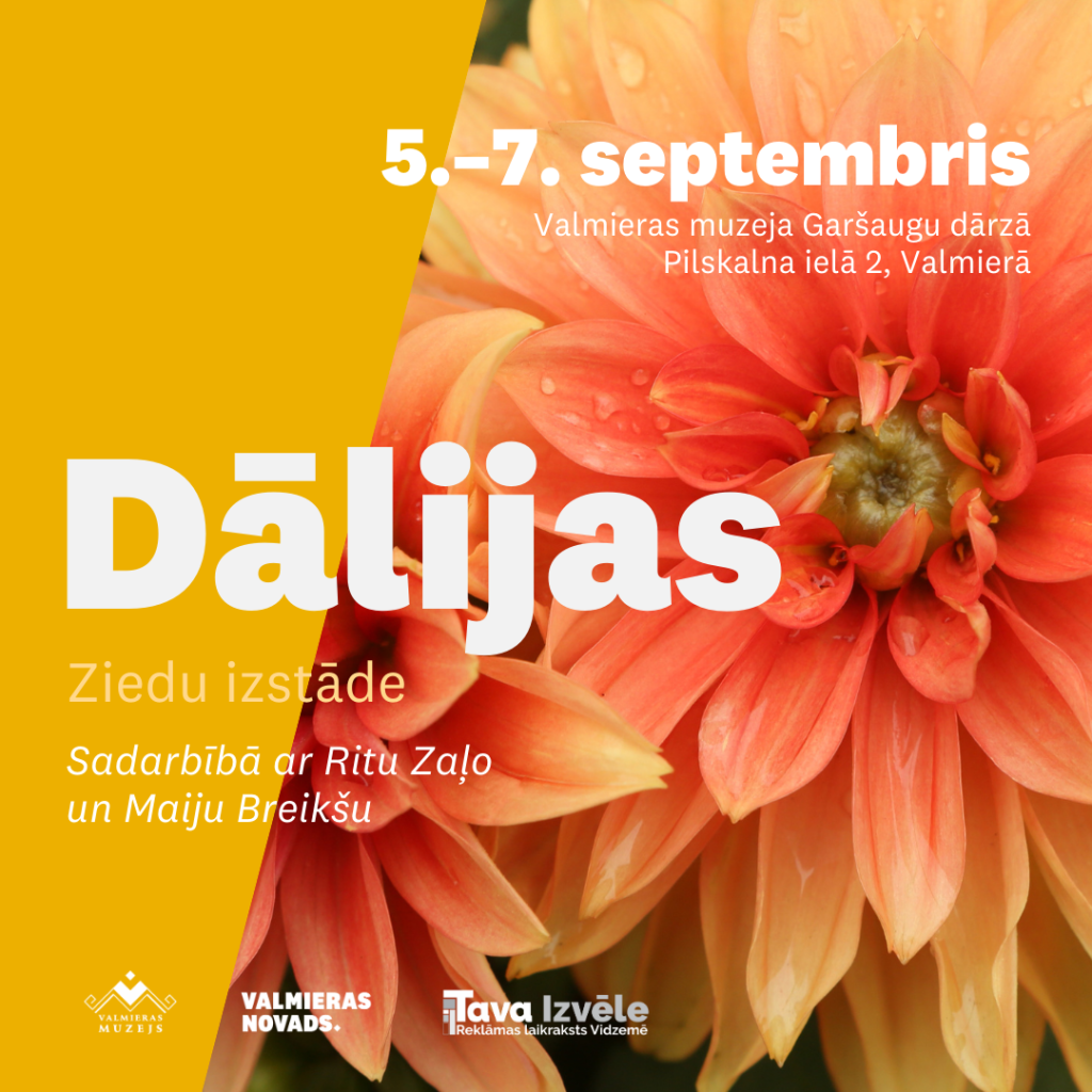 Ziedu izstāde "Dālijas" Valmieras muzeja Garšaugu dārzā