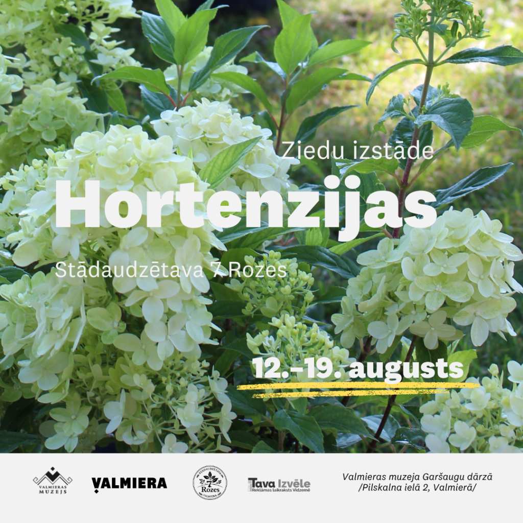 Ziedu izstāde "Hortenzijas" Valmieras muzeja Garšaugu dārzā no 12. līdz 19. augustam, 2026.