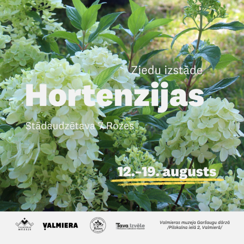 Ziedu izstāde "Hortenzijas" Valmieras muzeja Garšaugu dārzā no 12. līdz 19. augustam, 2026.
